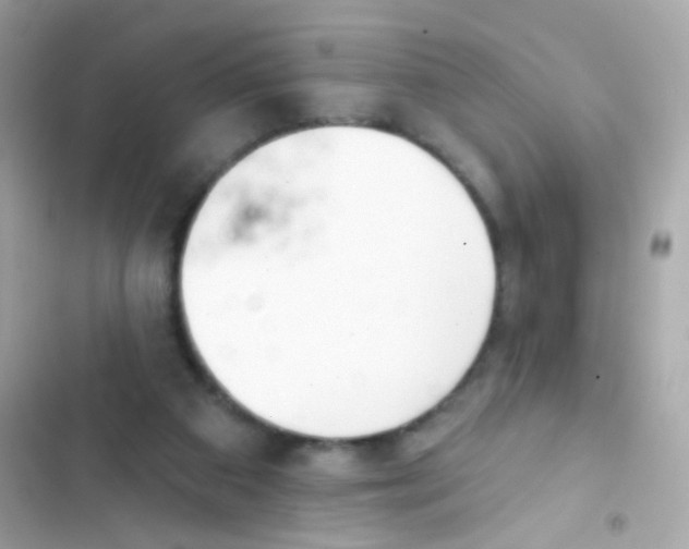 X0000103170113200809192125