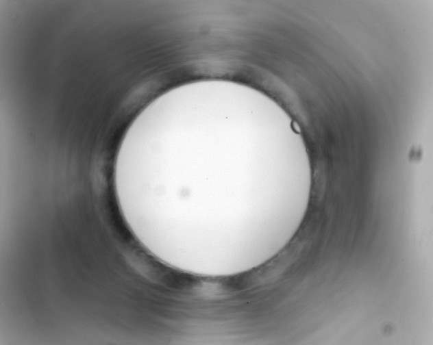 X0000103170114200809192125