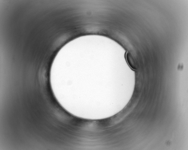 X0000103170116200809192125