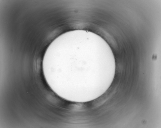 X0000103170118200809192125