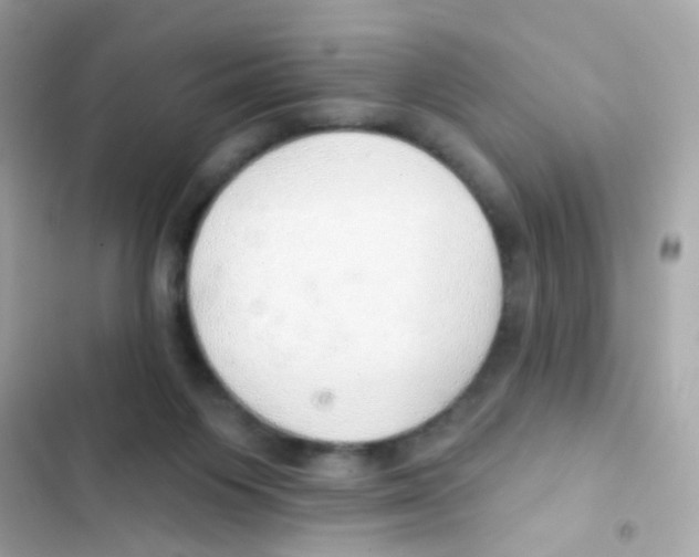 X0000103170119200809192125