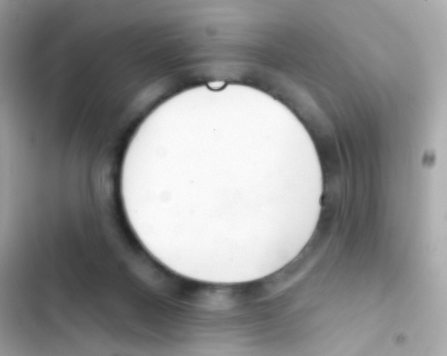 X0000103170120200809192125