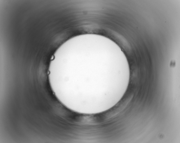 X0000103170121200809192125