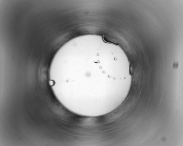 X0000103170122200809192125