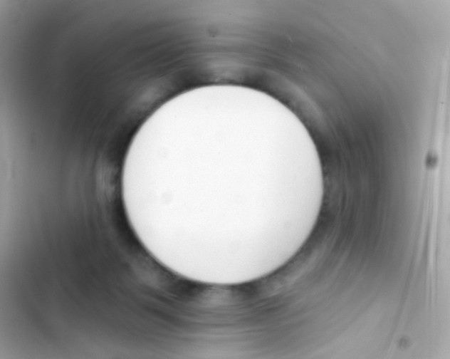 X0000103170123200809192125