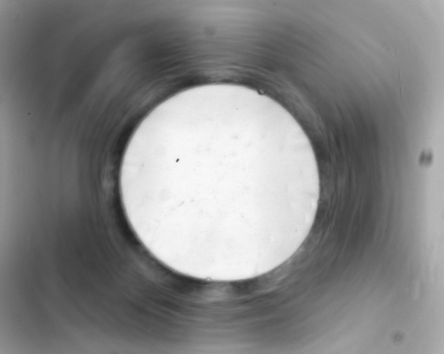 X0000103170124200809192125