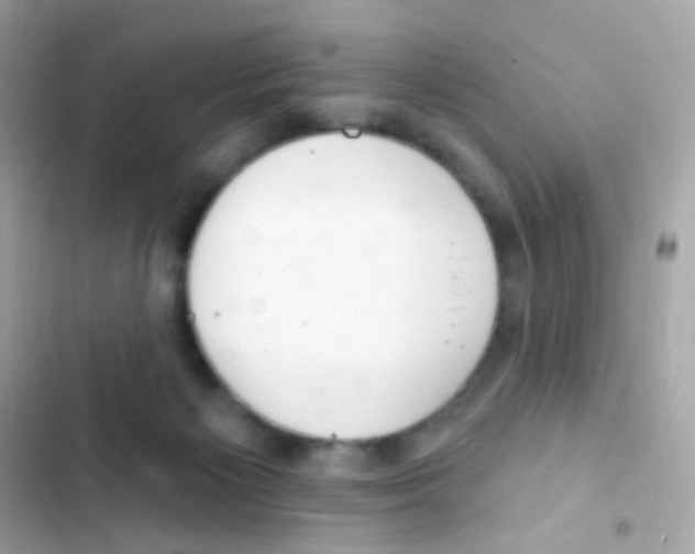 X0000103170125200809192125