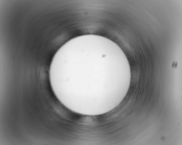 X0000103170126200809192125