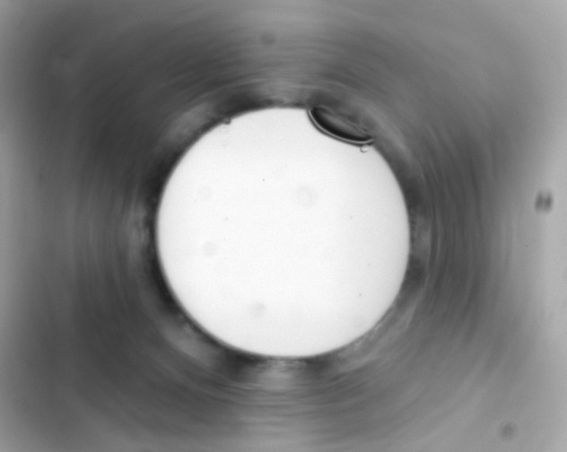 X0000103170128200809192125