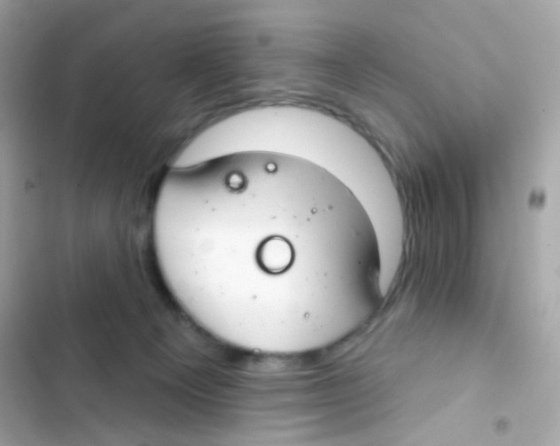 X0000103170129200809192125