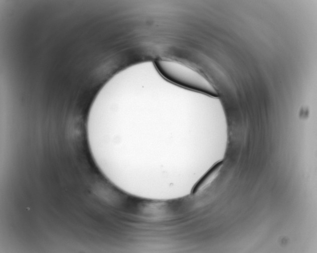 X0000103170132200809192125