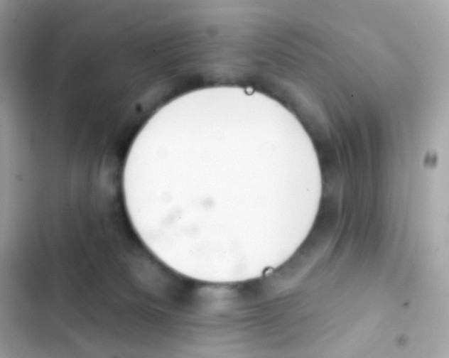 X0000103170133200809192125