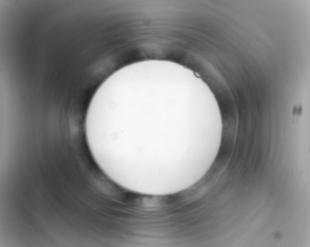 X0000103170134200809192125