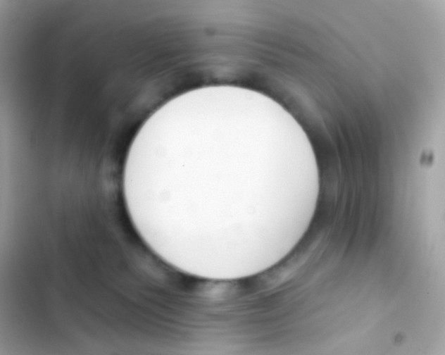 X0000103170135200809192125