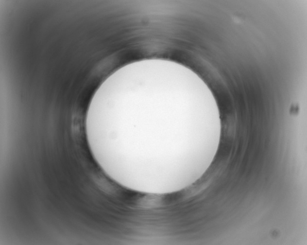 X0000103170138200809192125