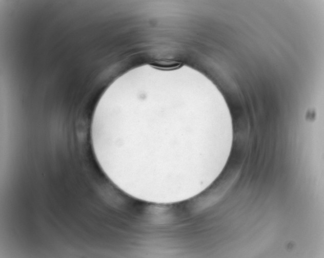 X0000103170139200809192125