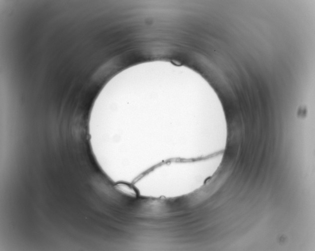 X0000103170140200809192125