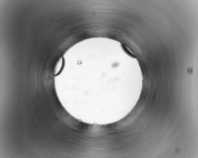 X0000103170141200809192125