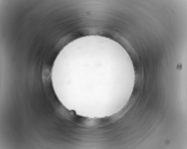 X0000103170142200809192125