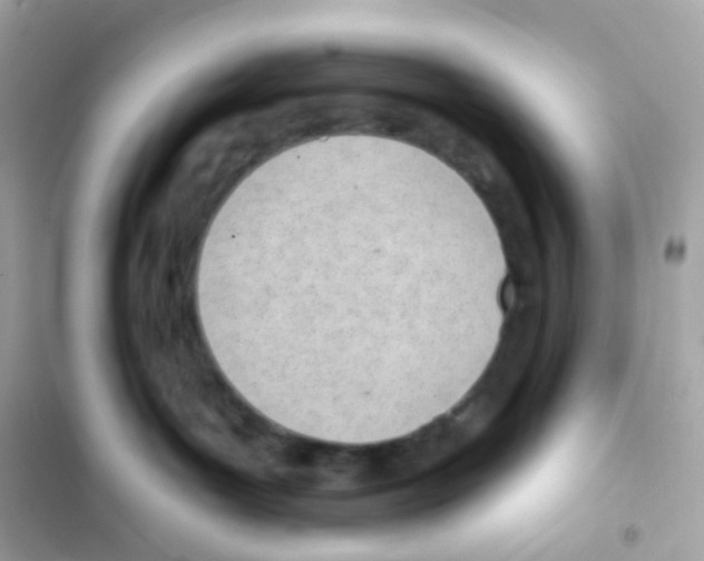 X0000103170143200809192125