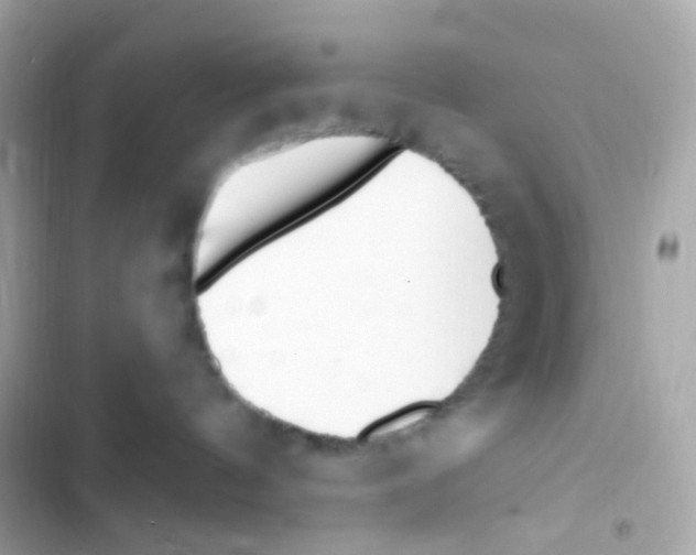 X0000103170144200809192125