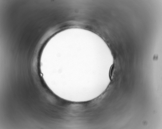 X0000103170150200809192124