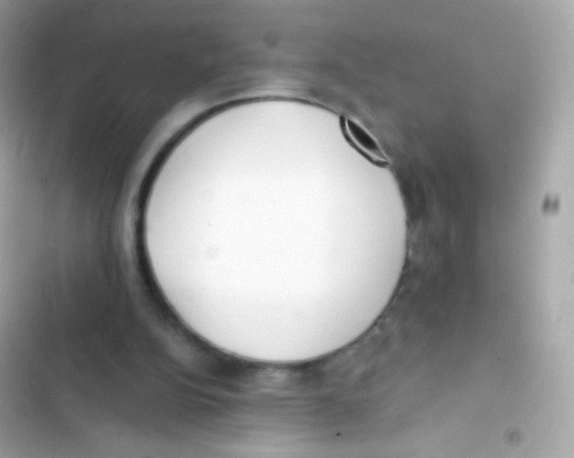 X0000103170152200809192125