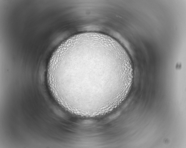 X0000103170153200809192125