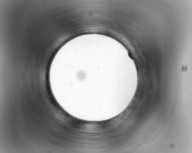 X0000103170154200809192125