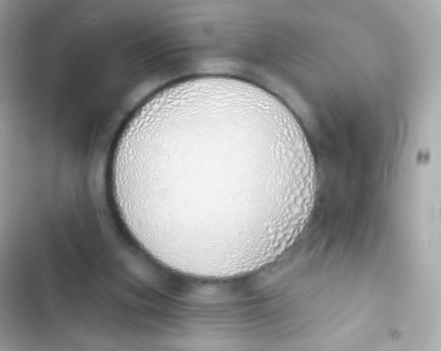 X0000103170155200809192125