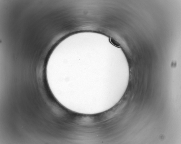 X0000103170156200809192125