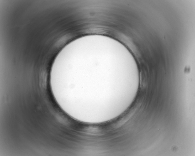 X0000103170157200809192125