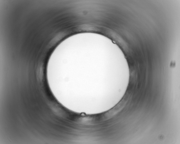 X0000103170158200809192125