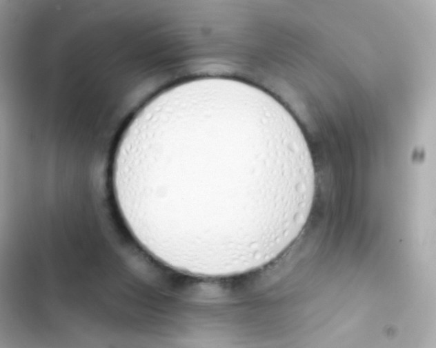 X0000103170159200809192125