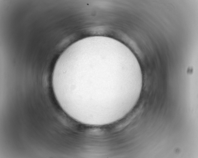 X0000103170161200809192125