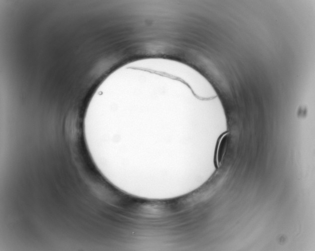 X0000103170164200809192125