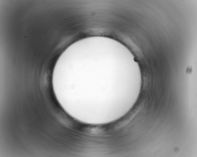 X0000103170165200809192125