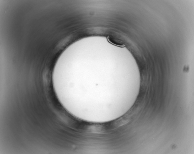 X0000103170168200809192125