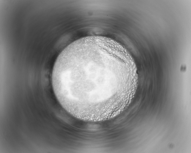 X0000103170169200809192125