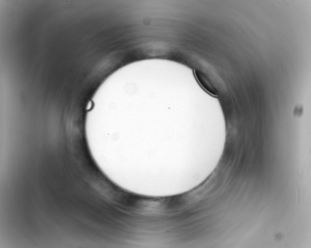 X0000103170170200809192125