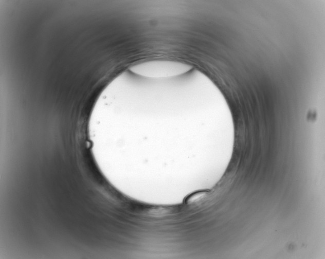 X0000103170172200809192125