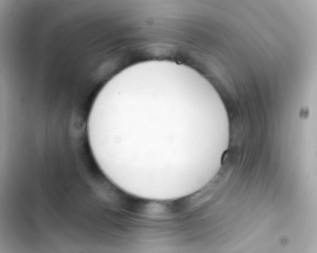 X0000103170176200809192125