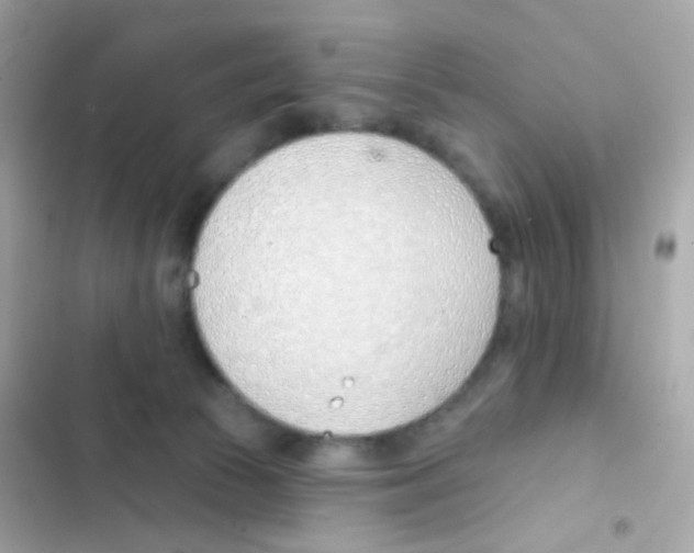 X0000103170177200809192125