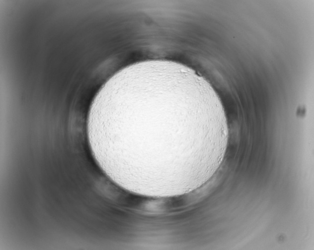 X0000103170178200809192125