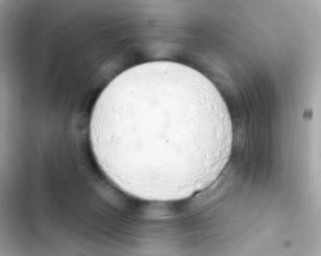 X0000103170179200809192125