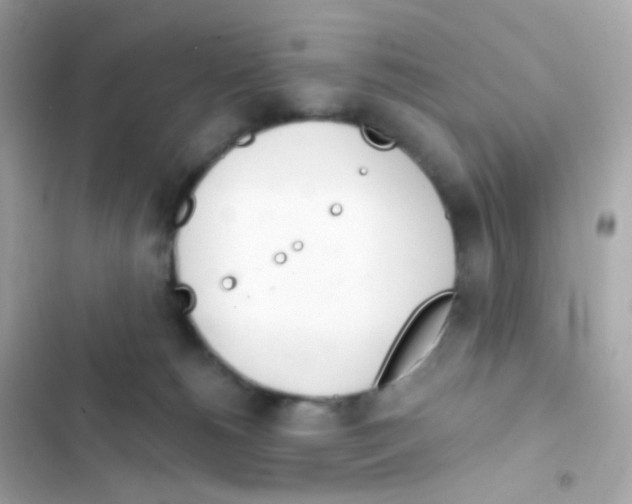 X0000103170180200809192125