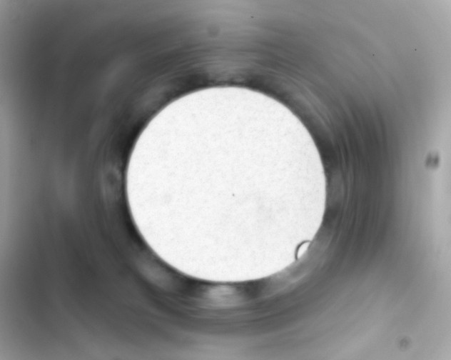 X0000103170183200809192125