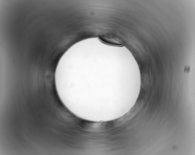 X0000103170184200809192125