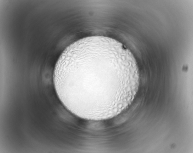 X0000103170185200809192125