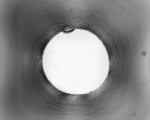 X0000103170186200809192125